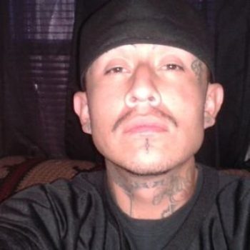 413793_262427513864851_575821863_o